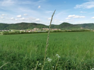 Wiese Dorf Himmel Landschaft in einem3