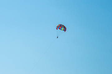 The operated parachute flies in high in the blue sky
