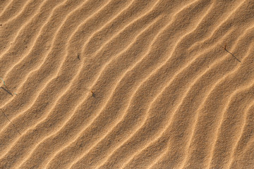Fototapeta na wymiar Sandy sand pattern on the beach