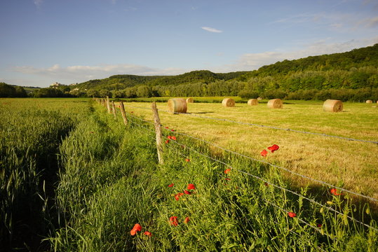 Paysage Campagne 433