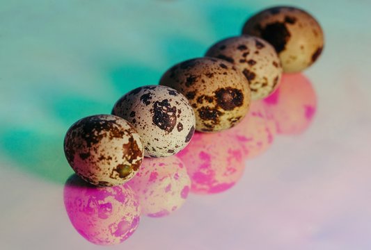 Quail eggs on holographic colorful background