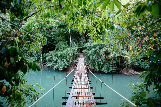 Fototapeta Bridge 1