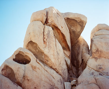 Cyclops Rock in Joshua Tree