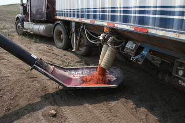 Seeding in Saskatchewan