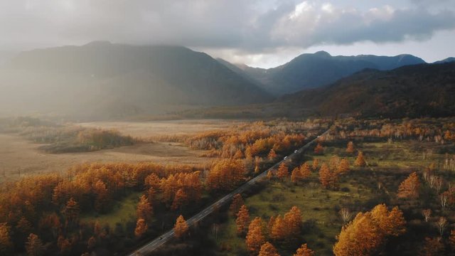美しい秋の風景　道 ドローン 空撮 日光 戦場ヶ原 紅葉 4k 動画