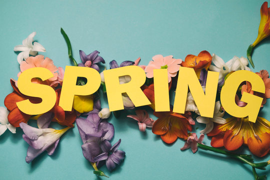 Flower Decoration with word ""spring""