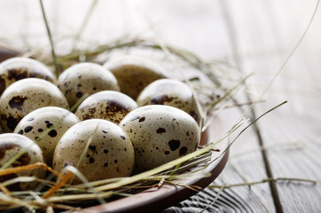 Fresh organic quail eggs in clay plate on wooden rustic kitchen table. Space for text