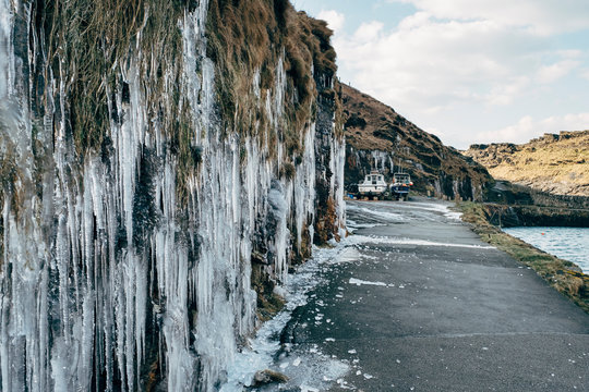 Large icicles on the cliff wall in Boscastle. Cornwall, UK.
