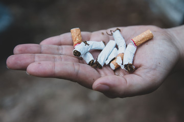 Stop cigarette, woman hands breaking the cigarette with clipping path