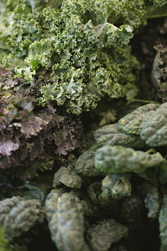 Close up of fresh fruit and vegetables at a market in Melbourne Australia - kale, silverbeet, spinach