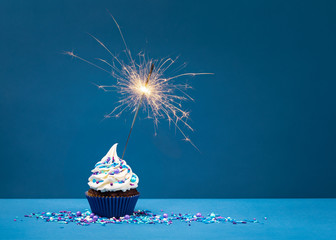 Birthday Cupcake with sparkler - obrazy, fototapety, plakaty