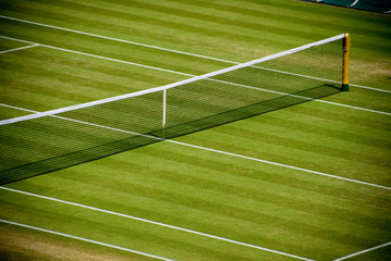 Grass tennis court