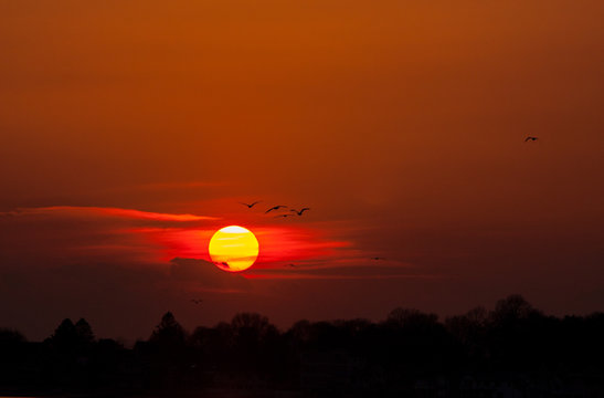 Birds flying at sunset with the setting sun on a bright orange and red sky