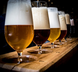 Cata de cervezas