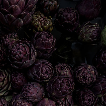 An Assemblage Of Protea In Dark Purple