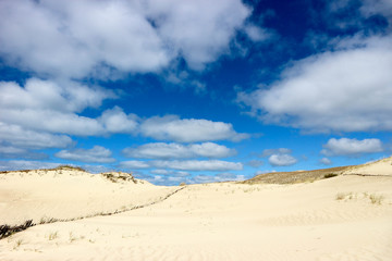 Fototapeta na wymiar Fantastic beautiful view of sand dunes on Curonian Spit, Lithuania under the endless bright blue sky with clouds
