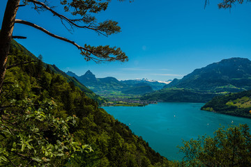Fototapeta na wymiar Lake of Lucerne. Brunnen. Switzerland