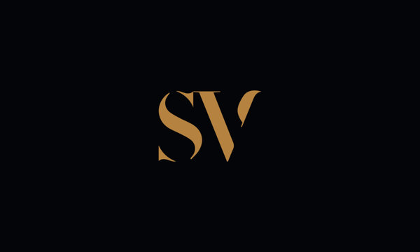 SV logo design template vector illustration