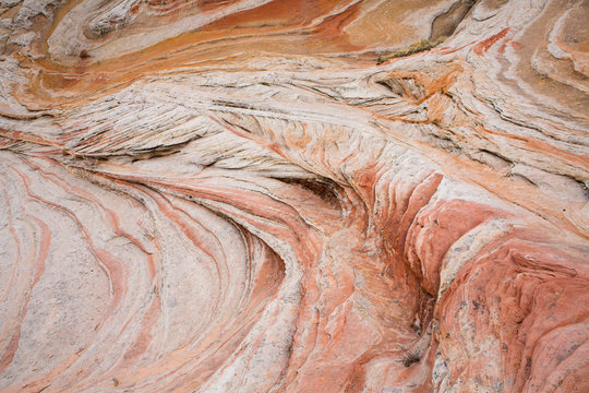 Detail of Navajo sandstone rock formation, White Pocket, Vermilion Cliffs