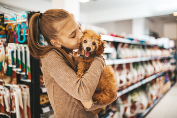 Cute girl with her poodle puppy in pet shop.