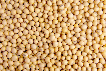 Soybean pattern as background