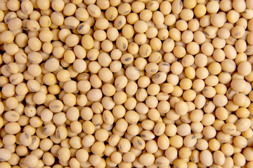 Soybean pattern as background