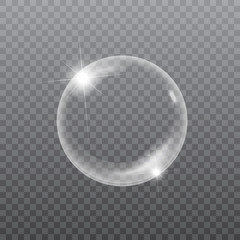 Soap or water bubble on transparent background. Vector