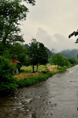 Regenspaziergang an der Dreisam in Freiburg