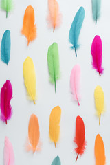 Colorful pattern made of feathers. MInimal boho style color concept. Flat lay backgrund.