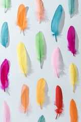 Colorful pattern made of feathers. MInimal boho style color concept. Flat lay backgrund.