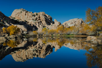 Joshua Tree National Forrest Baker dam reflection lake