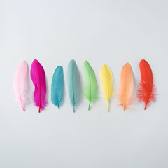 Colorful composition made of feathers. MInimal boho style color concept. Flat lay backgrund.