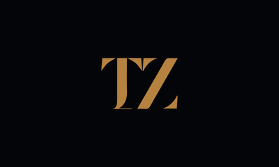 TZ logo design template vector illustration