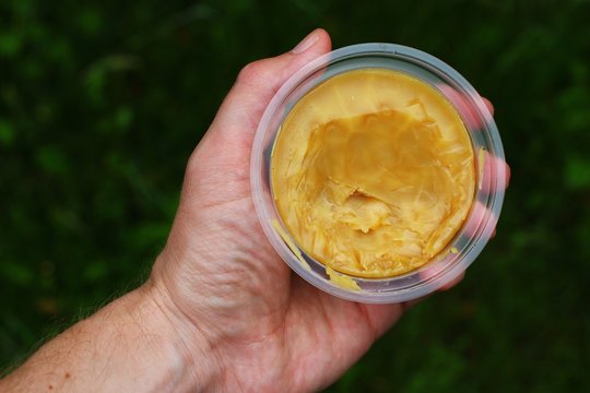 Wax tree in a jar in hand