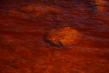 Fototapeta na wymiar Red water in Rio Tinto, Huelva