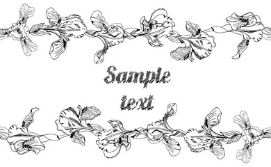 Horizontal template with endless brushes of single buds of iris flowers and place for text. Hand drawn ink sketch. Collection of black elements isolated on white background.