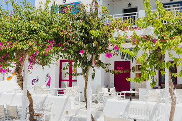 Schöner Patio mit bougainvillea in Naoussa, Griechenland