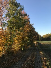 Herbstspaziergang