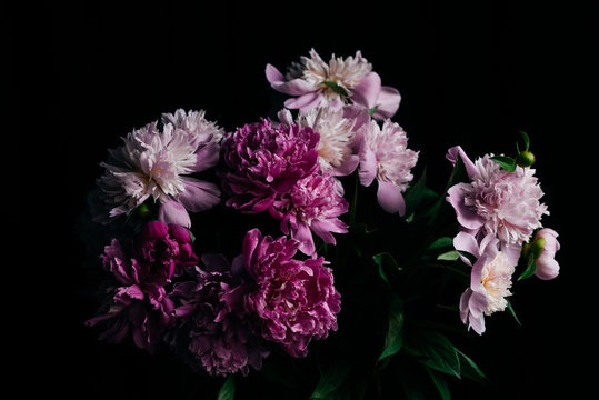 Peony