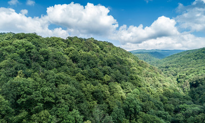 Mountains covered with green forest and river. Carpathians. View from above. Video shot by drone.