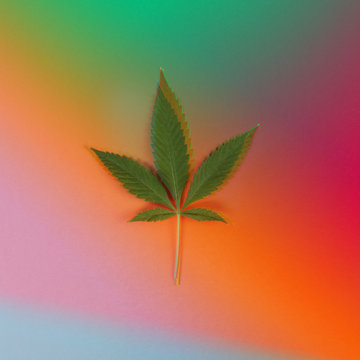 Psychedelic Cannabis Leaf