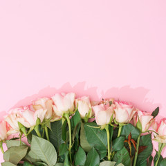 Creative spring background composition pink roses on pink background. Minimal top down flowers concept.