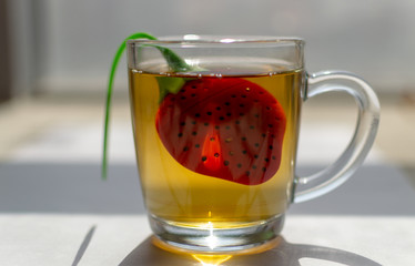 Cup of morning tea on the table