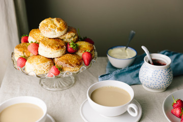 Afternoon tea of scones with strawberry jam and clotted cream wi