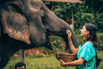 Girl having fun with elephants at Patara Elephant Farm, Chiang Mai, Thailand - obrazy, fototapety, plakaty