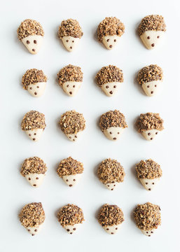 Neatly organized pecan and dark chocolate covered hedgehog cookies on white background