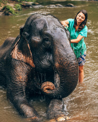 Girl having fun with elephants at Patara Elephant Farm, Chiang Mai, Thailand