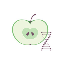 Vector scientific design element. Green slise of apple with DNA symbol. Concept about gmo. Design for science education materials, poster, banner, presentation, web.