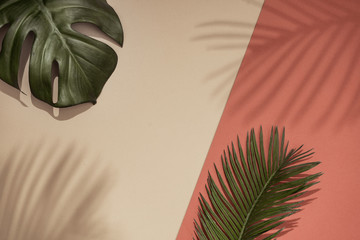 Top view of green tropical leaves and shadow on orange and sand color background. Flat lay. Minimal...