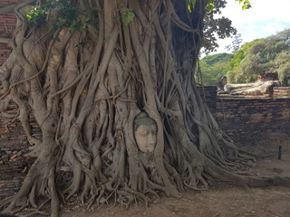 Historic City of Ayutthaya, Thailand (Wat Mahathat, Wat Phra Sri Sanphet, Wat Chaiwatthanaram, Wat Phra Ram)